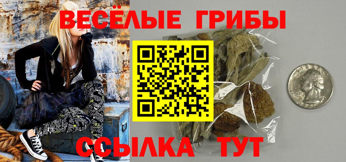 Псилоцибиновые грибы мицелий Лесозаводск
