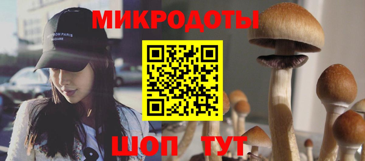 Галлюциногенные грибы ЛСД  как найти   Лесозаводск  Вход с VPN 